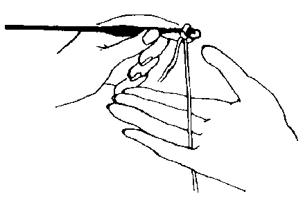 images/crolh04.gif