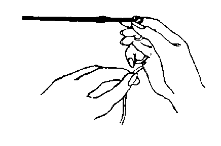 images/crolh06.gif